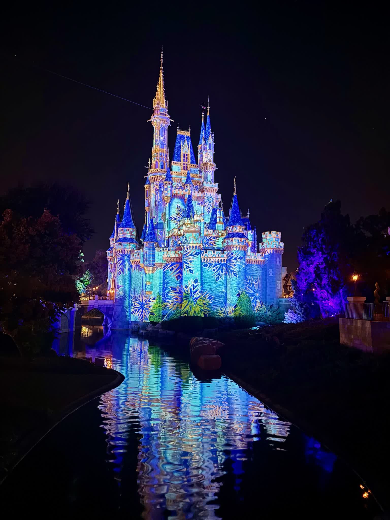 Cinderella Castle at night with reflection